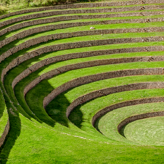 Aventura a caballo andina